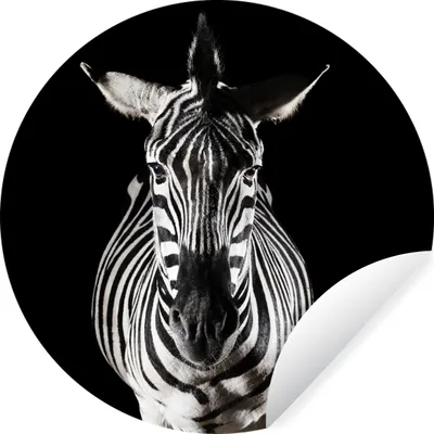 Produktbild von MuchoWow® Runde Wandtattoo - Wandsticker Tapete Aufkleber Zebra auf schwarzem Hintergrund Ø 80 cm Selbstklebend und Repositionierbar - Wandaufkleber - Kreis - Mauerkreis - Wand Bilder - Wandsticker - Wohnzimmer Dekoration - Dekoration für die Wände - Aluminium - Babyzimmer