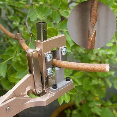 Image de Sécateur en aluminium pour arbres fruitiers