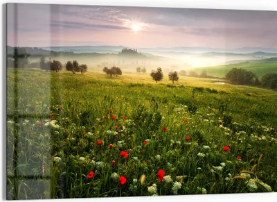 Produktbild von DEQORI Glasbild Echtglas 90x60 cm 'Idyllisches Morgenlicht' Wandbild Bild modern Deko