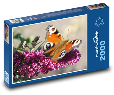 Produktbild von Puzzle 2000 Schmetterling auf Blume - martinpuzzle