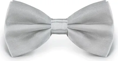 Obrázok produktu pre Motýlik svetlosivý, nastaviteľná veľkosť, z polyesteru, jednofarebný, úzky, 12 cm