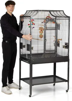 A young man stands next to a large bird cage.