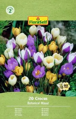 Obrázek produktu pro Krokusy FloraSelf 'Botanický mix' 20 ks