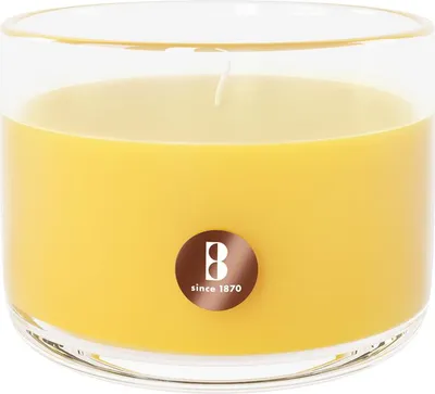 Produktbild von Bolsius Duftkerze True Scents Mimosa 6 cm im Glas