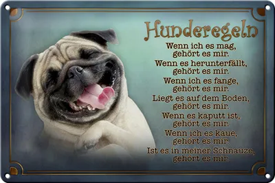Produktbild von Blechschild Spruch 30x20cm Hunderegeln wenn ich es mag