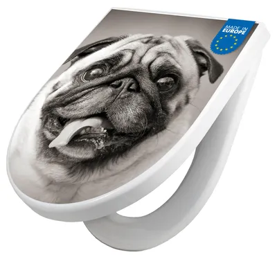 Produktbild von WC Sitz mit Absenkautomatik D Form Motiv Mops Porträt [TDW3 12903]