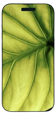 Produktbild von #GOECO Refurbished Smartphone - Apple iPhone 14 Pro 256GB mitternacht, 15,5 cm (6.1"), 2556 x 1179 Pixel, 256 GB, 48 MP, iOS 16, Schwarz