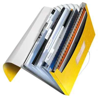 Immagine prodotto di LEITZ LTZ (Verkaufseinheit: 5) ProjektmappeWOW A4 PP blau 660196 4002432106028