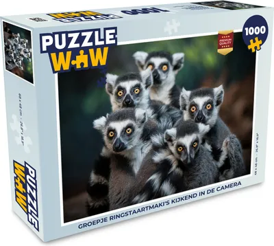 Obrázek produktu pro MuchoWow MuchoWow® Puzzle 1000 ks Opice - Zvířata - Lemur kroužkovaný