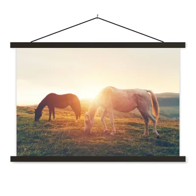Produktbild von MuchoWow® Textilposter Pferde - Sonne - Tiere 90x60 cm mit schwarzem Rahmen - Aufhängungssatz