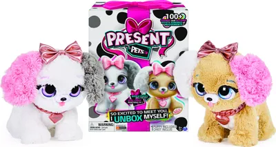 Image de SPINMASTER GFT Present Pets-Fancy 0