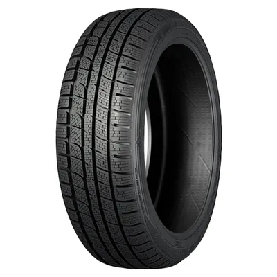 Obrázek produktu pro Pneumatika NANKANG 255/40 R19 100V WINTER ACTIVA SV-55 XL