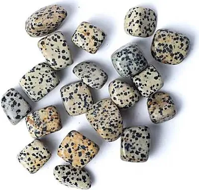 Immagine prodotto di Tormali di diaspro dalmata di alta qualità – dimensioni approssimative: 1,5-3,5 cm, peso approssimativo: 250 g – disponibili per l'acquisto