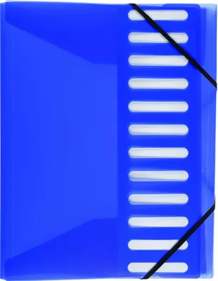 Produktbild von Ordnungsmappe / Dokumentenmappe / für DIN A4 / mit 12 Taben / Farbe: blau