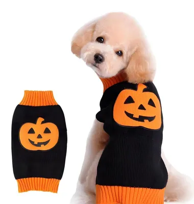 Produktbild von Hundepullover Kürbis Halloween Party Katze Welpe Größe M
