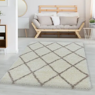 A living room scene with a rug in the foreground and a sofa in the background.