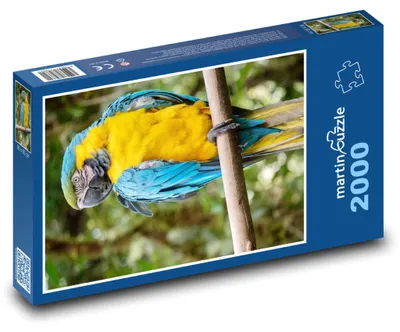 Zdjęcie produktu dla martinpuzzle - Puzzle 2000 - Papuga