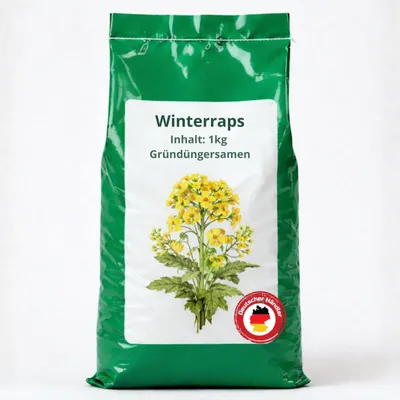 Produktbild von Samenshop24® Futterraps / Winterraps, Bodenkur & Gründüngung, Inhalt: 1kg