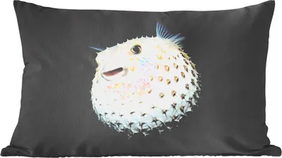Produktbild von MuchoWow® Zierkissen Sofakissen Wohnzimmer Dekokissen 50x30 cm Fische - Meerestiere - Porträt - Wohnzimmerdekoration - Polster mit Photo