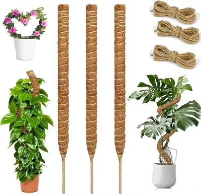 Obrázek produktu pro 3 tyče – 30 cm, ohebné kokosové tyče – kokosové tyče pro popínavé rostliny – s 3 jutovými provazy – pro popínavé rostliny – ručně vyrobené, štíhlé podpěrné tyče – podpora pro rostliny