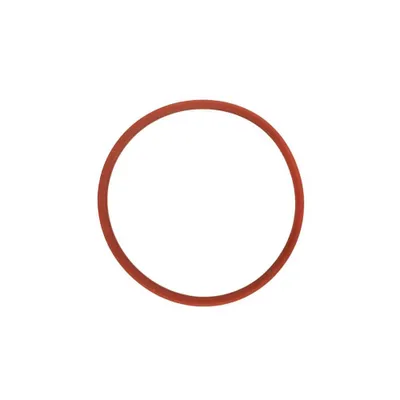 Produktbild von Ersatzteil Dichtungsring UVC Klärer Druckteichfilter CPF 20000-75000 Filter 75mm