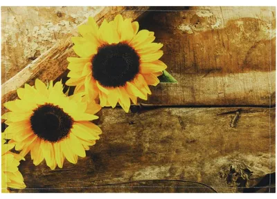 Immagine prodotto di Tovaglietta tessile CLOTH girasoli fiori tavola di legno 45x30 cm