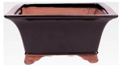 Produktbild von Bonsai-Schale 23,5 x 23,5 x 11,5 cm, schwarz