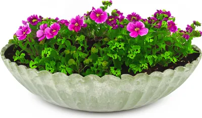 Produktbild von Runde Pflanz-Schale gewellt für draussen grün marmoriert 22 cm