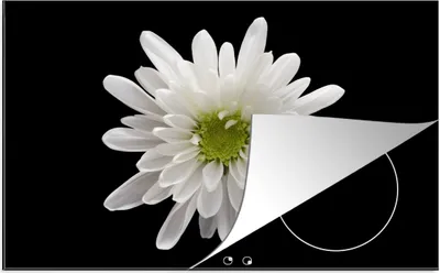 Produktbild von KitchenYeah© Herdabdeckplatte Makro - Weiß - Blume , 81x52cm, Küche Deko, Glaskeramikkochfeld Herdabdeckung, Abdeckplatte fùr Kochfeld