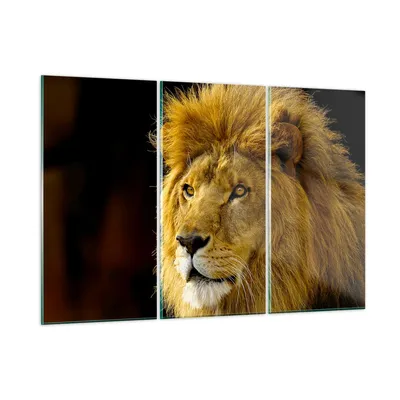 Produktbild von Bilder auf glas - Löwe Tiere Tierwelt - 165x110cm - Glasbilder - Wandbilder - Kunstdruck - zum Aufhängen bereit - Wanddekoration aus Glas - Glas Bilder - Wandbild auf Glas - 3 Teile - GCE165x110-1237
