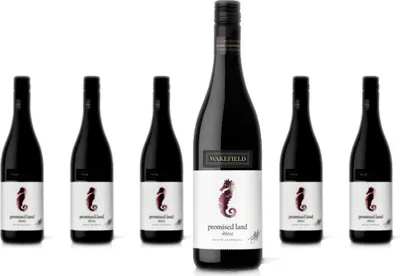 Produktbild von 6 x Taylors / Wakefield Promised Land Shiraz – 2018
