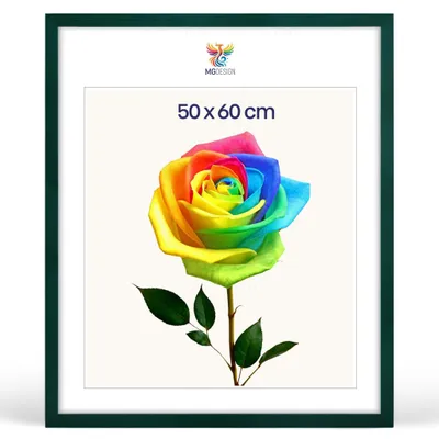 Obrázok produktu pre MG Design rámy na obrazy 50 x 60 cm – rámy na plagáty so zeleným dreveným rámom (masívne drevo) a nárazuvzdorným akrylovým sklom, vhodné na zavesenie vertikálne aj horizontálne, s robustným systémom na upevnenie na stenu