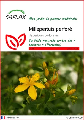 Image de SAFLAX  - Millepertuis perforé - 300 graines - Hypericum