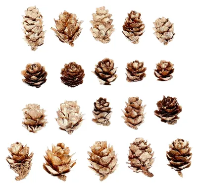 Produktbild von Künstliche Tannenzapfen für Weihnachtsdekoration und Blumenkasten-Ornamente