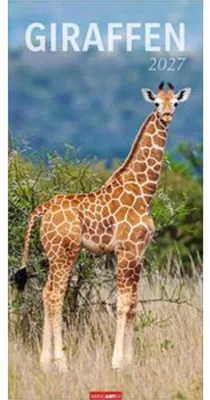 Immagine prodotto di Calendario delle giraffe 2027
