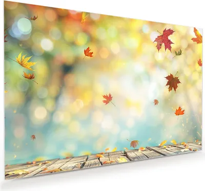 Produktbild von Glasbild 90x60cm in XXL für Wohnzimmer, Schlafzimmer Motiv Herbstlaub Wald