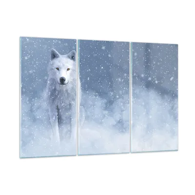 Produktbild von Bilder auf glas - 3 Teile - Weiß Wolf Schnee - 165x110cm - Glasbilder - Wandbilder - Bilder - zum Aufhängen bereit - Wanddekoration aus Glas - Glas Bilder - Wandbild auf Glas - GCE165x110-5006