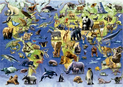 Produktbild von Einhundert gefä hrdete Arten Puzzle 500pcs