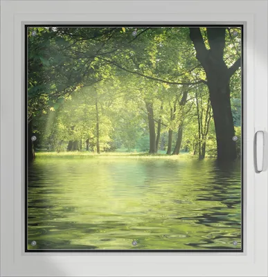Produktbild von Wallario Lichtschutzbild, Dekorativer Sichtschutz Sonnenschutz 96 x 100 cm mit Motiv: Idyllischer See im Wald bei Sonnenschein - Verdunklung ohne Bohren