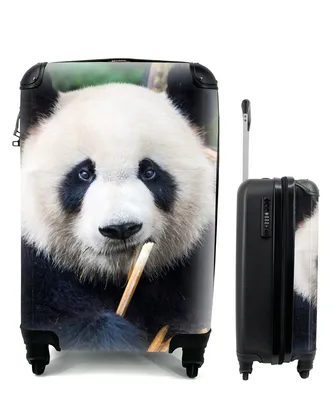 Produktbild von MuchoWow® Koffer Handgepäck Trolley Rollkoffer Kleine Reisekoffer mit 4 Rollen - Panda - Bambus - Natur - Cabin Size < 55x40x23 cm & 55x40x20 cm - Fotokoffer - Kabinenkoffer - Boardgepäck - Reise-Box - Reisekoffer - Reisegepäck - Koffer mit Bild - Trolley für Kinder