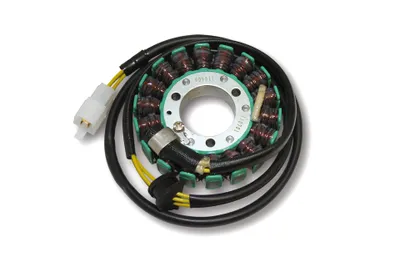 Image de Stator ElectroSport ESG011 pour alternateur pour GS 500 H