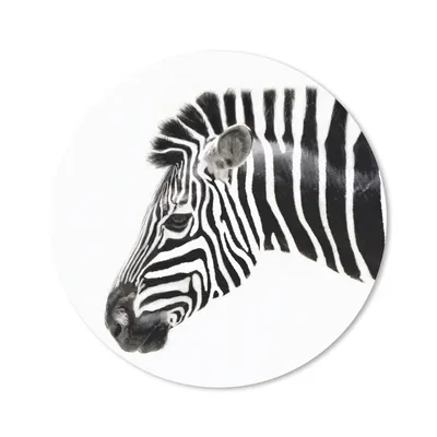 Produktbild von MuchoWow® Mauspad Mousepad Zebra - Tiere - Weiß 40x40 cm - Mousepads - Maus Mat - Pad - Mausunterlage - Schreibtisch Accessoires