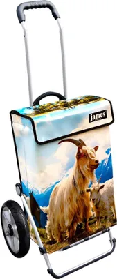 Produktbild von James Einkaufstrolley - MECKER - stabiler Einkaufswagen mit individuellem Design - mehrfarbig: beige | blau in Ausführung: Royal-Leichtraeder