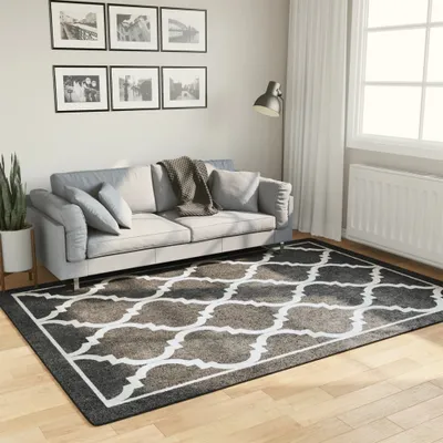 Produktbild von Cloris Designermöbel Teppich Waschbar Schwarz und Weiß 160x230 cm Rutschfest 2024 Neu