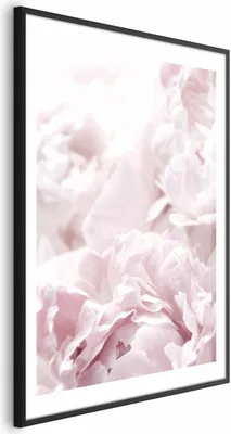 Produktbild von Posterpapier Poster - Fluffy Peonies 21x30 cm Blumen b-B-0340-ao-a