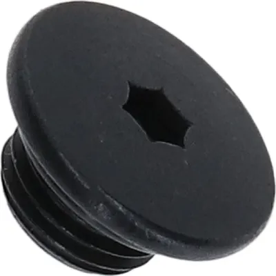 Immagine prodotto di Vite di spurgo SHIMANO per ST-R7020 - Y0F398030, circa 2 g