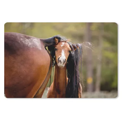 Produktbild von MuchoWow® Schreibtischunterlage Pferde - Natur - Braun 60x40 cm - XXL Mauspad - Großes Mauspad
