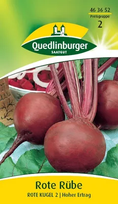 Produktbild von Quedlinburger Saatgut - Rote Rübe Rote Kugel 2 - Samen - 463652
