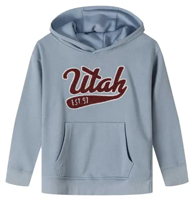 Produktbild von Minoti - Kapuzenpullover für Jungen, Kängurutasche, Übergroß MN694 (146-152) (Blau)