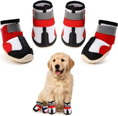 Produktbild von Hundestiefel - Pfotenbeschutz - Schuhe für Hunde